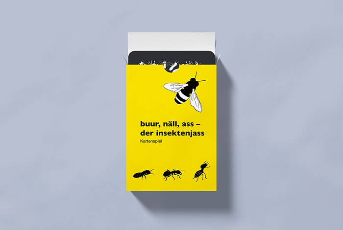 Buur, Näll, Ass – der Insektenjass. Jasskartendesign, Grafik, Illustration und Packaging von deiner Grafik Agentur in Winterthur.