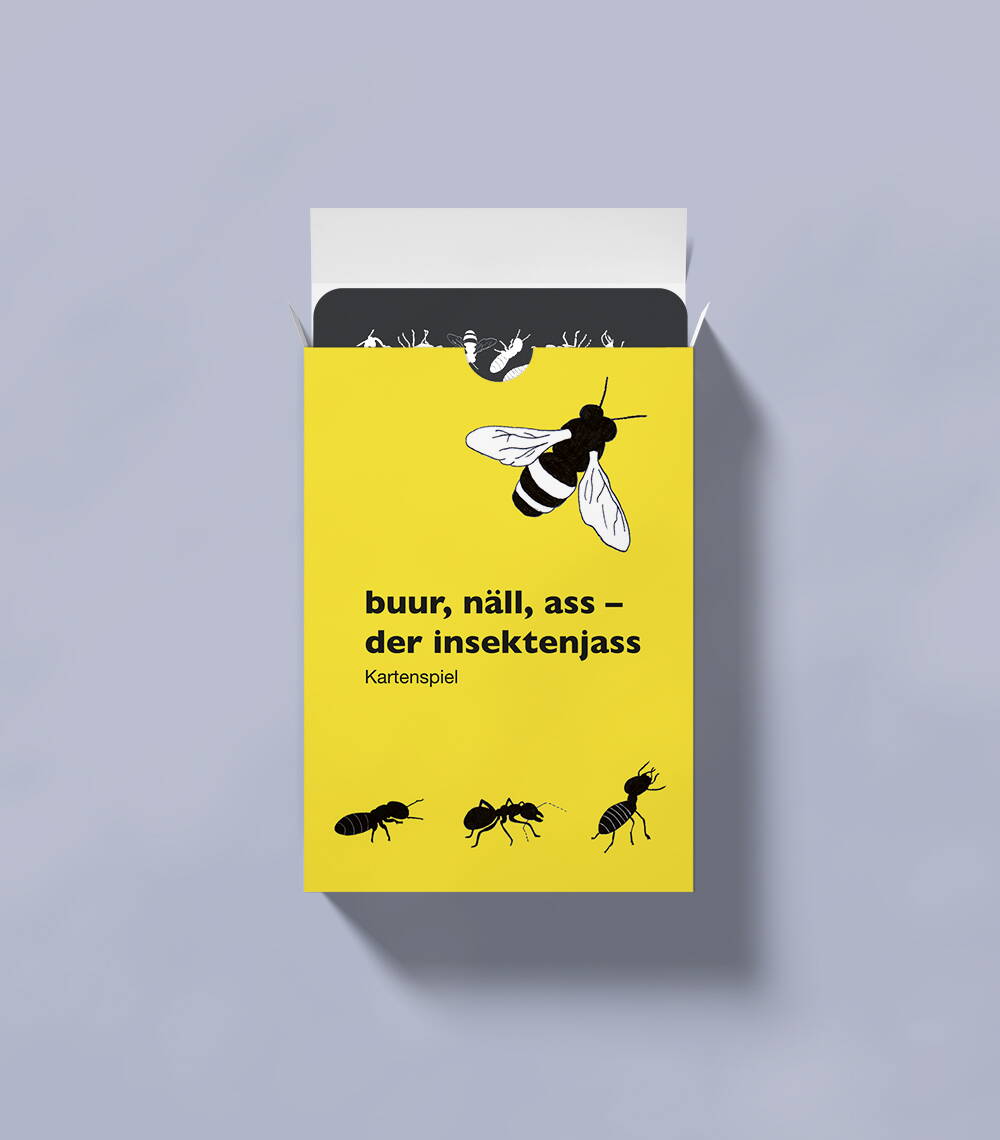 Buur, Näll, Ass – der Insektenjass. Jasskartendesign, Grafik, Illustration und Packaging von deiner Grafik Agentur in Winterthur.